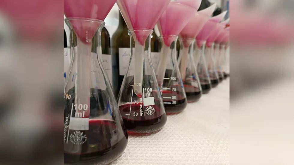 Almasavtartalom méréséhez szűrtünk