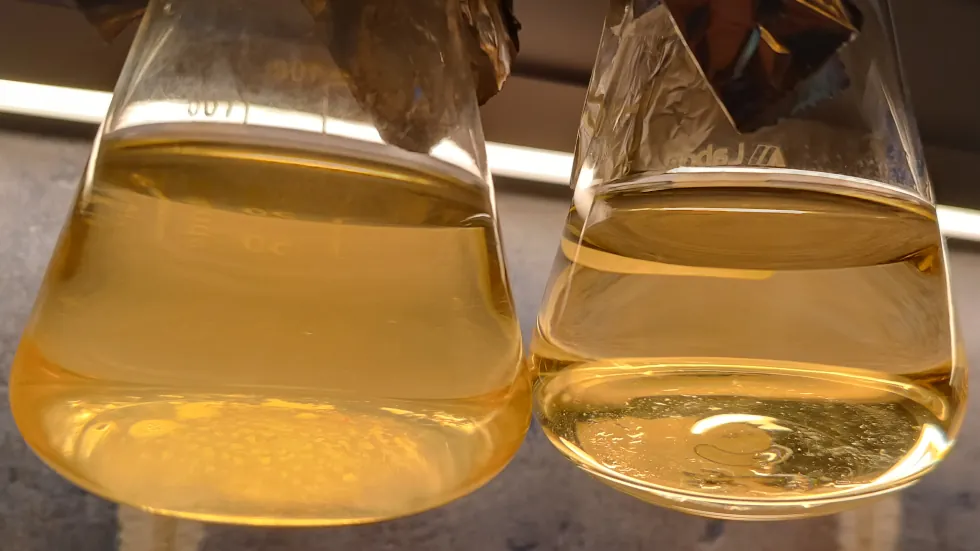 Stabilitás-vizsgálat