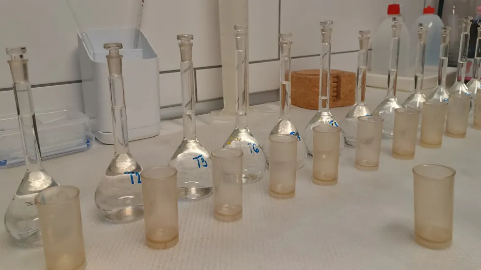 Lepárolt minták készen sűrűségmérésre